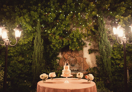 Ashley Rose Wedding Inspiration