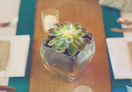 Sittin in a Tree Weddings Wedding Inspiration