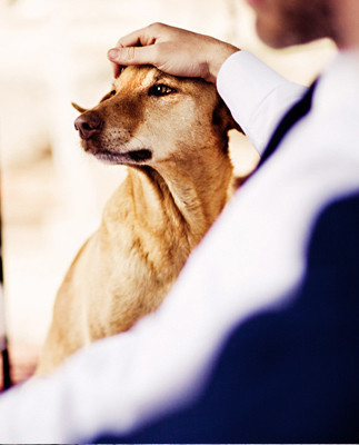Andreas Holms Wedding Inspiration