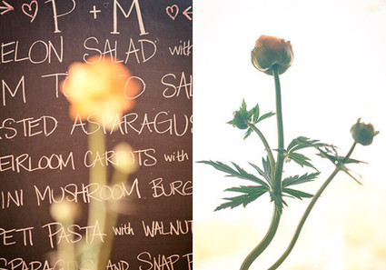 Fox Fodder Farm Wedding Inspiration