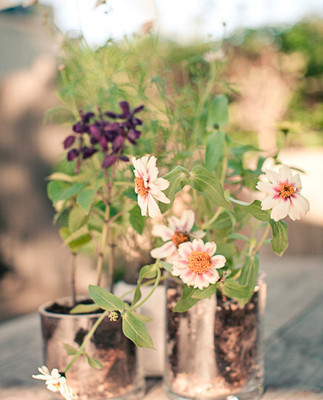 Fox Fodder Farm Wedding Inspiration