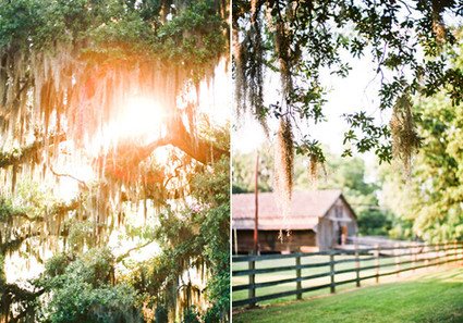 Elegant New Orleans wedding Wedding Inspiration