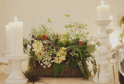 AMERIS Photography Wedding Inspiration
