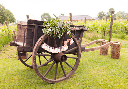 2Rings Wedding Inspiration