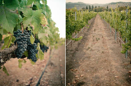 Gorgeous Napa Valley wedding Wedding Inspiration