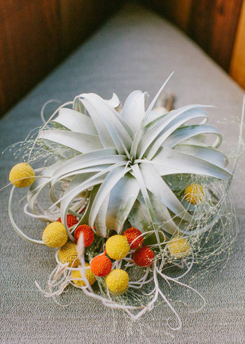 California elopement Wedding Inspiration