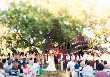 Paige Newton Photography Wedding Inspiration