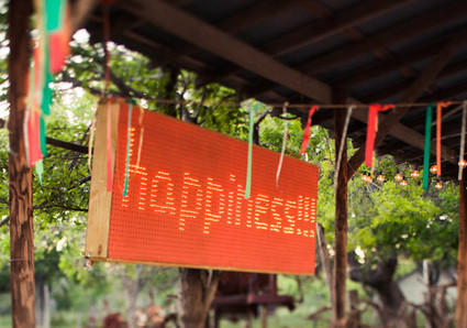 Orange Wedding Inspiration
