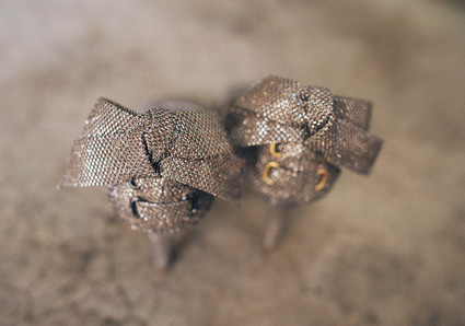 The Image is Found Wedding Inspiration