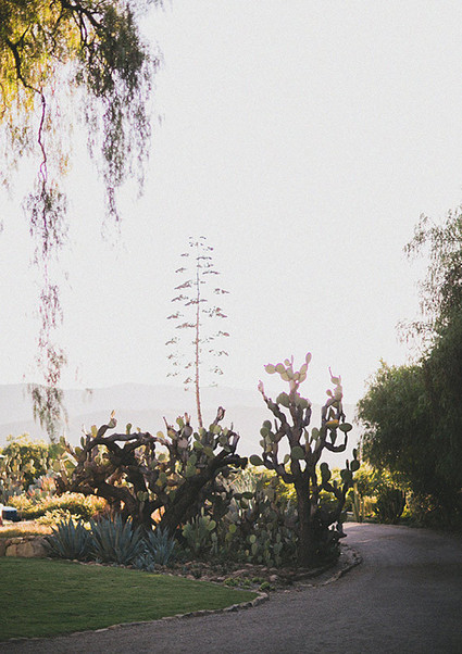 Ojai, California wedding Wedding Inspiration