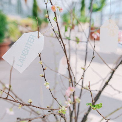 Ashley Sawtelle Photography Wedding Inspiration