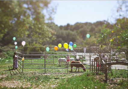 Max and Friends Wedding Inspiration