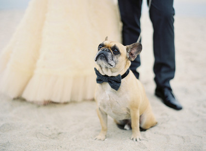 Jose Villa Photography Wedding Inspiration