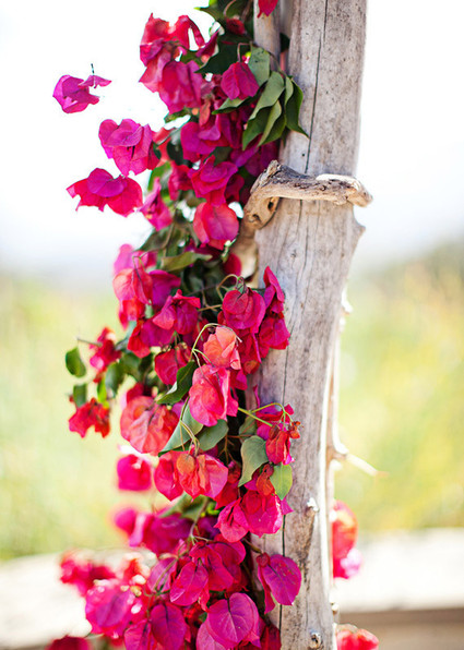Flowers Wedding Inspiration