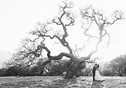 Portraits Wedding Inspiration