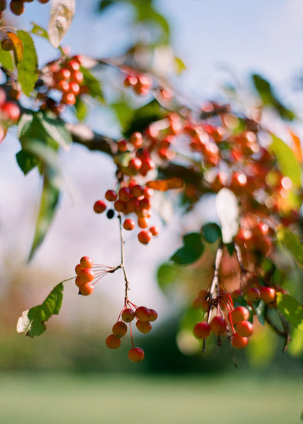 Vintage Mexican Fiesta Inspired Wedding