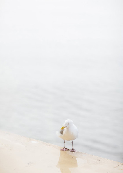 Q Avenue Photo Wedding Inspiration