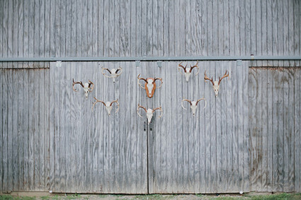 Alively Photography Wedding Inspiration