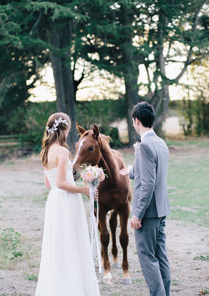 Andrea Seymour Photography Wedding Inspiration