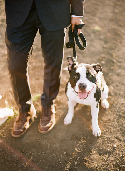 The Why We Love Wedding Inspiration