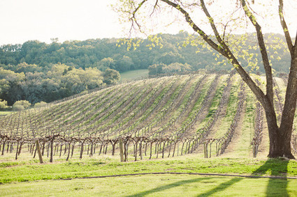 The Why We Love Wedding Inspiration