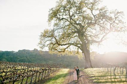 The Why We Love Wedding Inspiration
