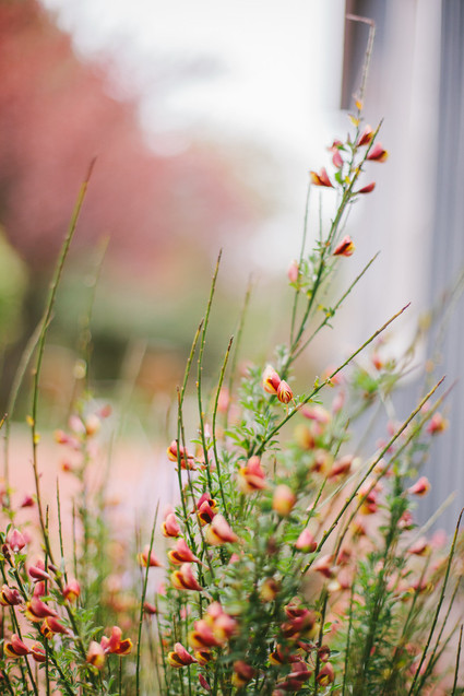 Emily Delamater Wedding Inspiration