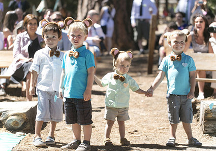 Wedding Guests