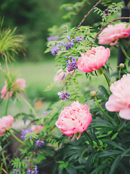 Jaclyn Journey Wedding Inspiration