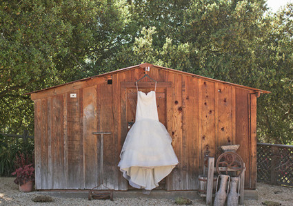 Carlie Statsky Photography Wedding Inspiration