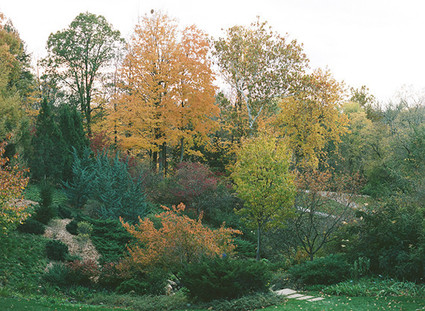 Austin Warnock Wedding Inspiration