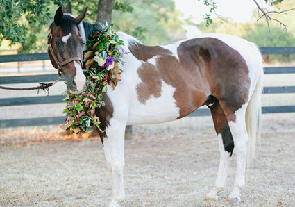 Autumn wedding inspiration Wedding Inspiration