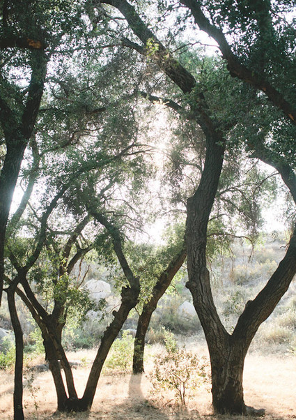Vintage Woodland California Wedding