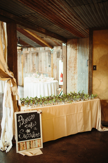 succulent favors Inspiration