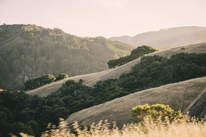 Vintage Carmel Wedding