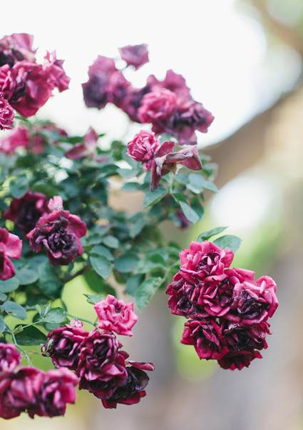 Brushfire Photography Wedding Inspiration