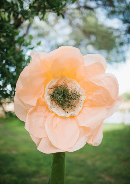 Eco friendly Arizona wedding Wedding Inspiration