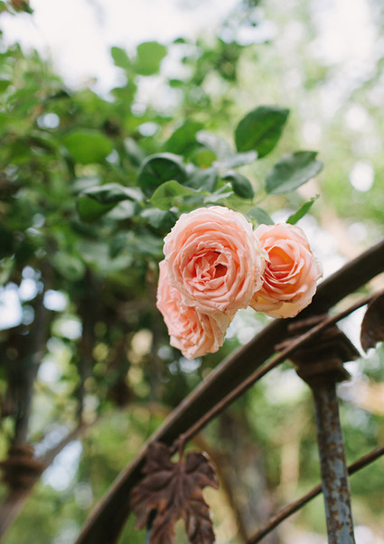 Brushfire Photography Wedding Inspiration