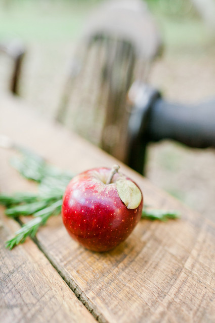 Andi Mans Photography Wedding Inspiration