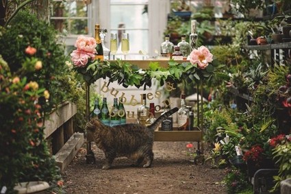 Eric Foley Photography Wedding Inspiration