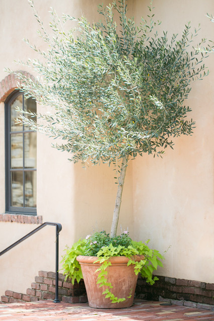 Bella Collina Wedding Inspiration