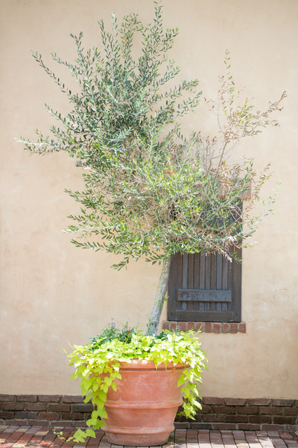 Amalie Orrange Photography Wedding Inspiration