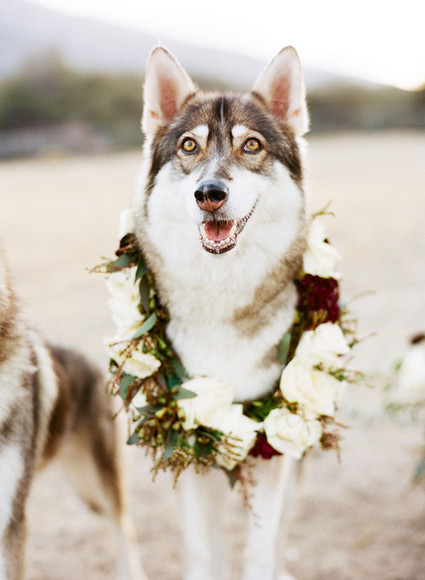 Rustic winter wedding inspiration Wedding Inspiration