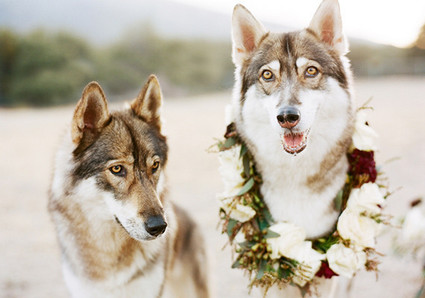 Rustic winter wedding inspiration Wedding Inspiration