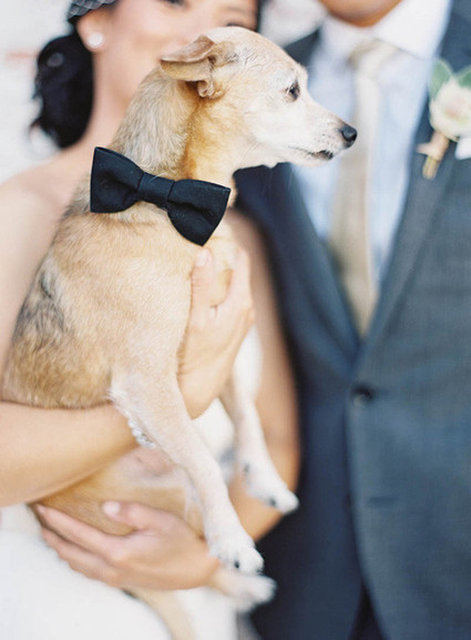 Real Weddings and Parties Wedding Inspiration