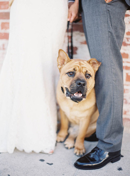 Real Weddings and Parties Wedding Inspiration