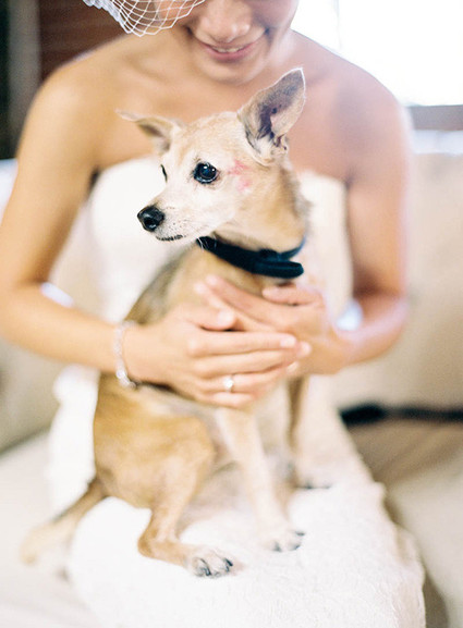 Real Weddings and Parties Wedding Inspiration