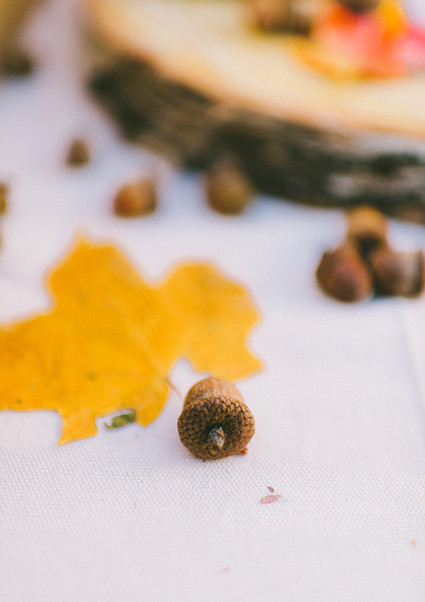 Fall party ideas Wedding Inspiration