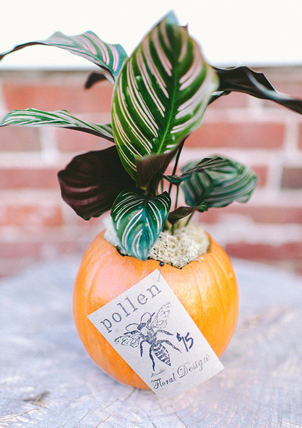 Fall party ideas Wedding Inspiration