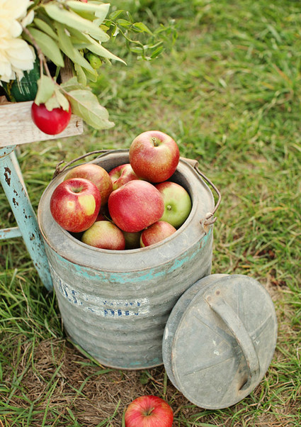 Apple orchard wedding inspiration Wedding Inspiration